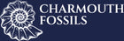 Charmouth Fossils