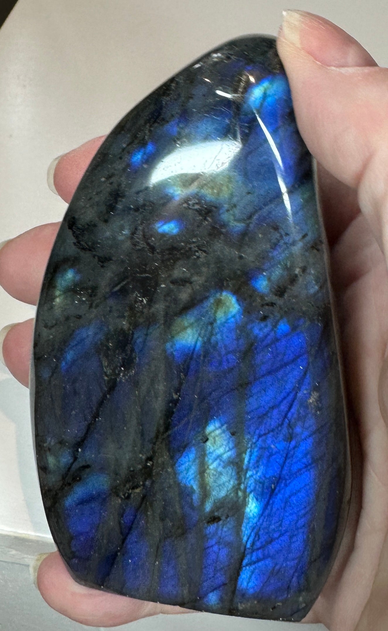 LABADROITE – Charmouth Fossils