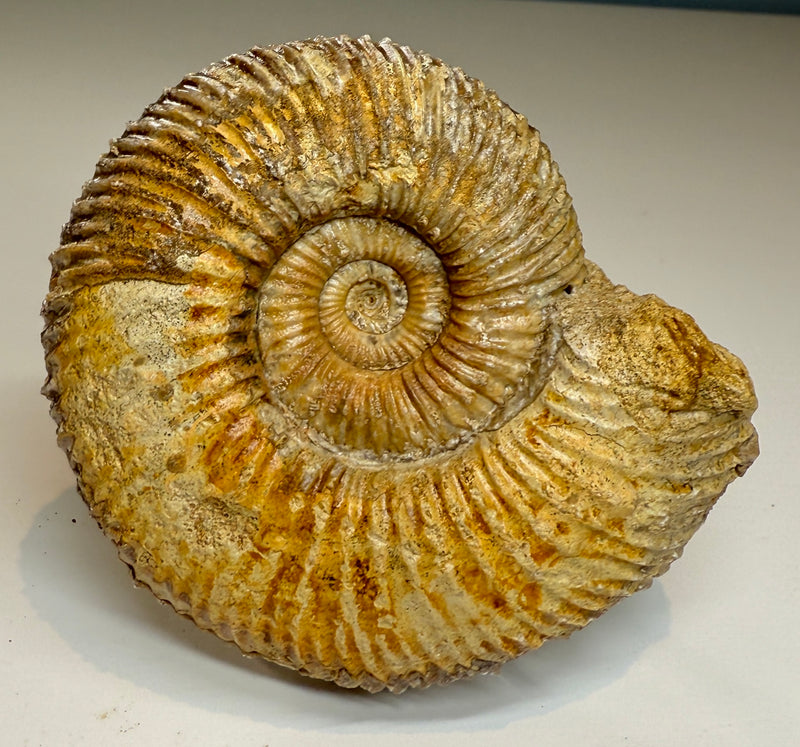 GARANTIANA