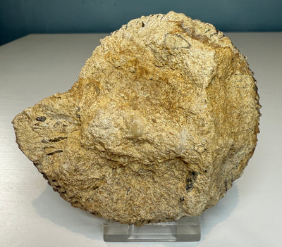 GARANTIANA