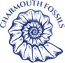 Charmouth Fossils