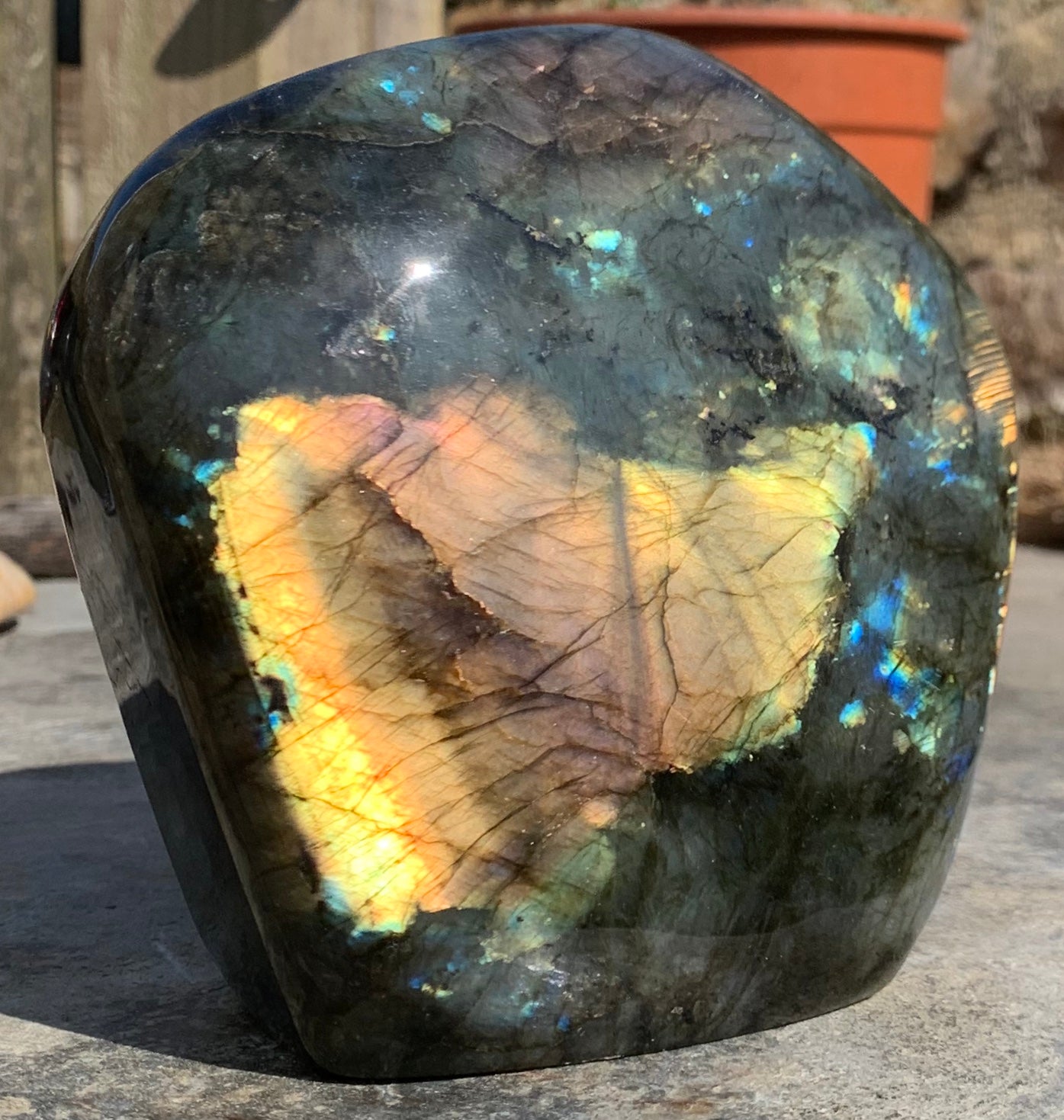 LABADROITE – Charmouth Fossils