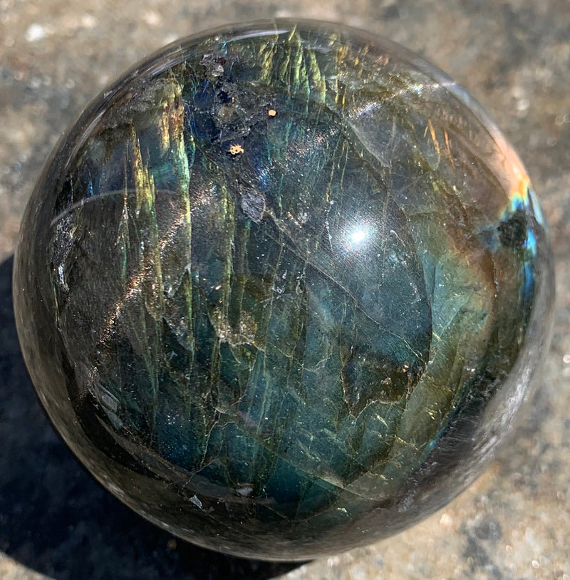 Labriot LABADROITE – Charmouth Fossils